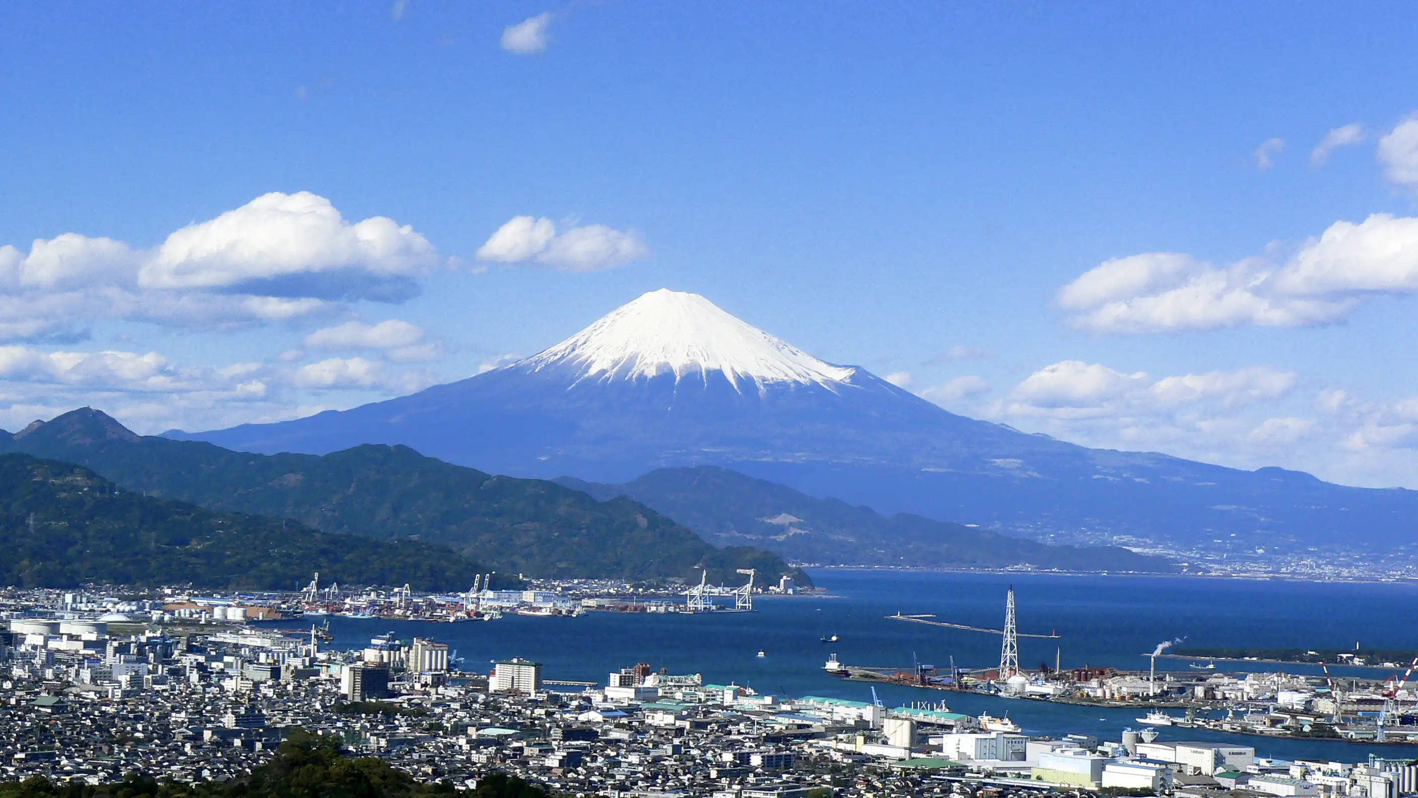 ビジネスシーンの背景動画を代替する静止画